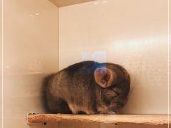 -龙猫仔乐园(惠福东路店)