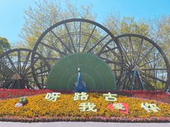 -呀路古热带植物园