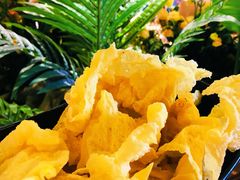 -掂档潮汕牛肉火锅(沈阳万象城店)