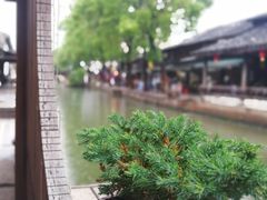 -红尘再(安昌古镇店)