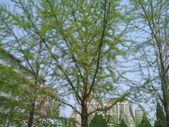 android_upload_pic-辽宁大学(崇山校区)