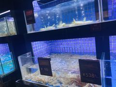 水产区-徐记海鲜(曲江南湖店)