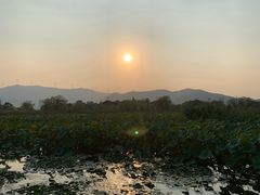-长兴太湖图影湿地文化园