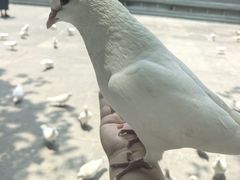 -天龙宝严素食馆(大兴善寺店)