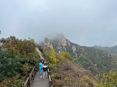 -大岭沟猕猴桃谷风景区