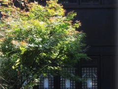 -南京市民俗博物馆(甘熙宅第)