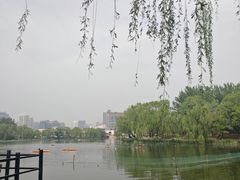 -WhaleSports户外水上运动俱乐部(朝阳公园店)
