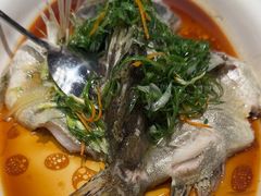 -陶缘一号·四季缘·老字号顺德菜·户外婚礼家宴(西滘店)
