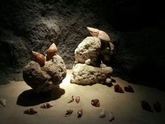 -北海·海洋之窗