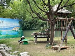 -上海野生动物园