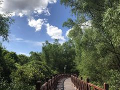 -大亚湾红树林城市湿地公园