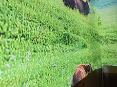 -花田里捞牛火锅(天润店)