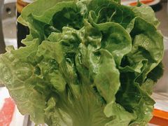 -韩悦牛排烤肉(仓山万达店)