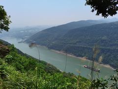 -铁山坪森林公园