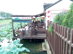 -太湖湖滨国家湿地公园-停车场