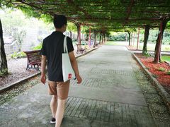 -嘉定紫藤园