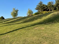 -青龙湖公园