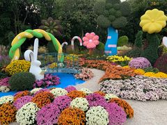 -上海共青森林公园