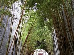 -龙潭水乡