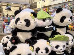 -重庆十八梯传统风貌区