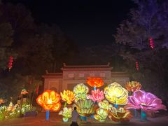 -三水森林公园
