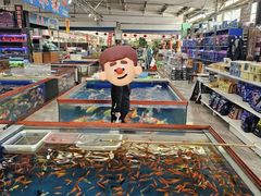 -李村大集