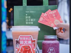 -野萃山·潮汕厚果汁(十亩地店)