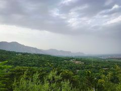 -北京鹫峰国家森林公园