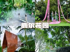 -老鼎万春卤菜(五代传承创始老店)
