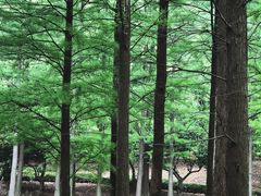 -宝界山林公园