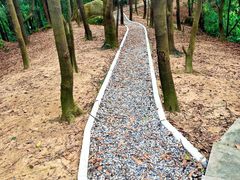 -火炉山森林公园