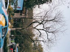 -杭州植物园