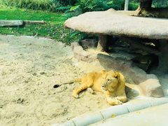 -北京野生动物园