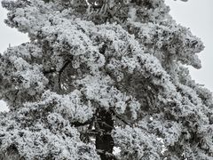 -安吉龙王山风景区