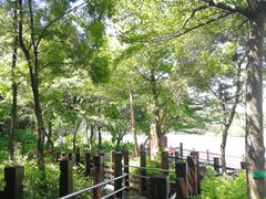 -大湾区中央湿地公园