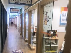 -斯坦星球AI编程·机器人科创·科学实验·信奥·思维·STEM·乐高·竞赛考级(长宁虹桥大融城荟聚中心)