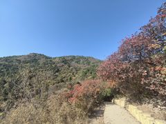 -北京西山国家森林公园