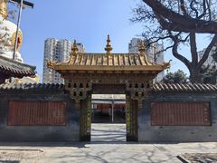 -护国法轮寺