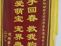 -中农国际动物医院24小时·猫科·骨科·急重症中心