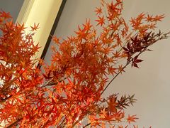 -三谷里·生态水疗空间(五一店)