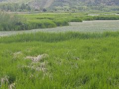 -泸沽湖国家级风景名胜区走婚桥