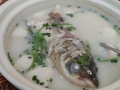 -紫藤园·天目湖大鱼头(南山竹海店)