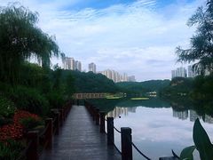 -重庆彩云湖湿地公园