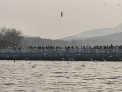 -云龙湖旅游景区