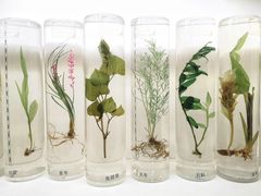 -北京中医药大学-中医药博物馆