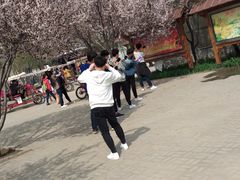 -石家庄市植物园