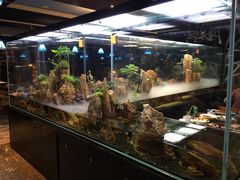 -泰谷酒店·太古码头闽菜自助餐厅