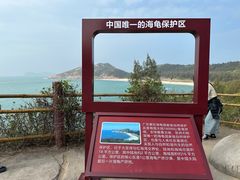 -广东惠东海龟国家级自然保护区