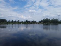 -蒲河岛湿地公园