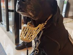 -京基滨河时代广场